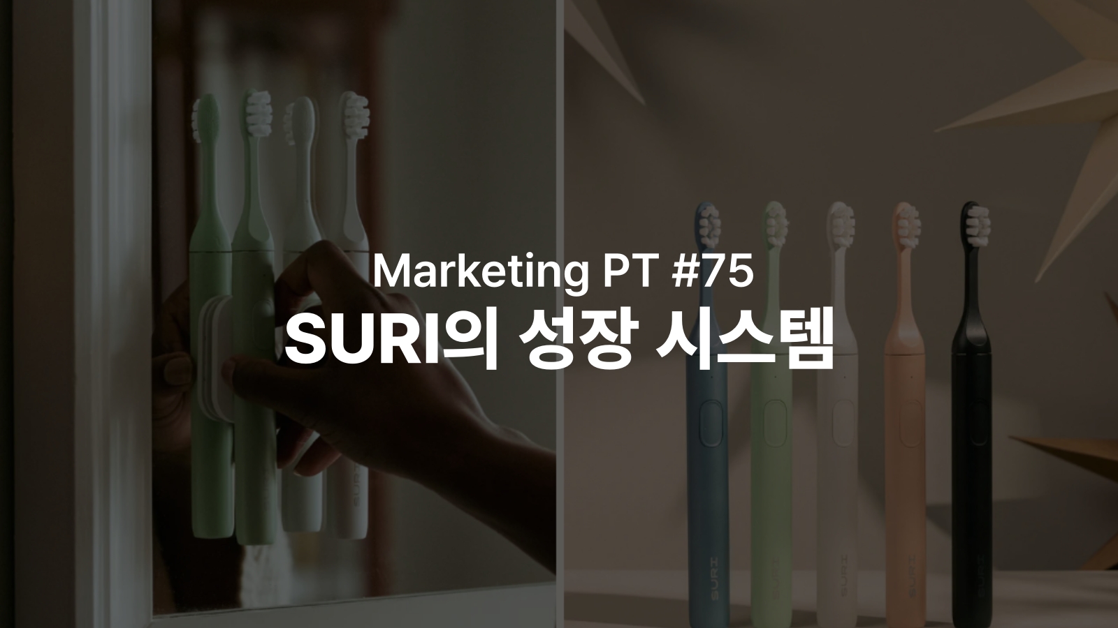 오늘의 인사이트 썸네일